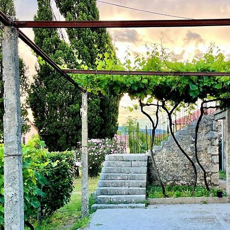Apartman Boljevic Podgorica Kültér fotó