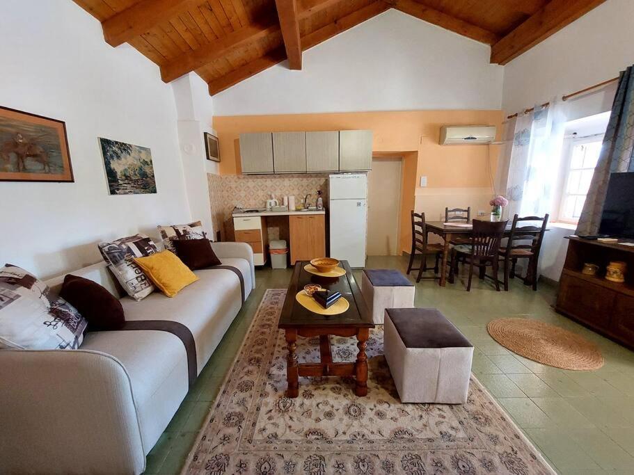 Apartman Boljevic Podgorica Kültér fotó
