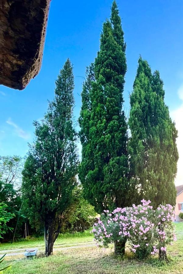 Apartman Boljevic Podgorica Kültér fotó